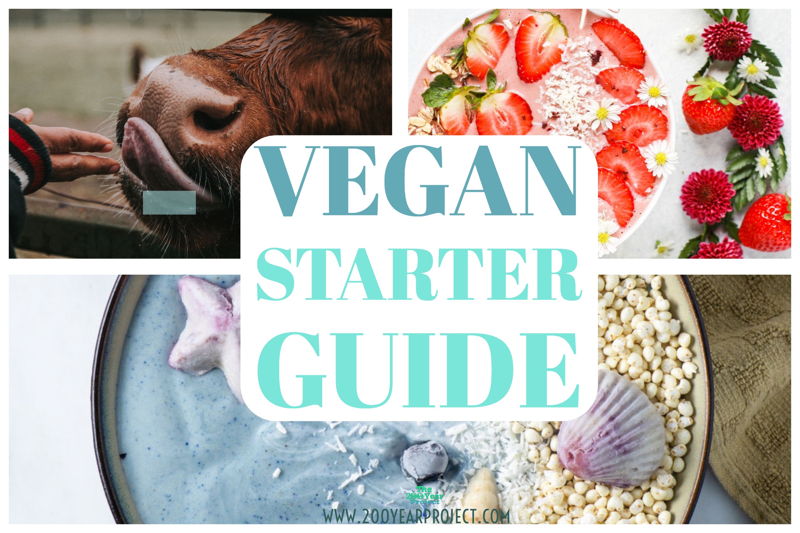 Vegan Starter Guide