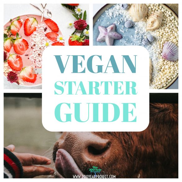 Vegan Starter Guide